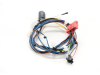 Жгут проводов VAILLANT 0020041936
