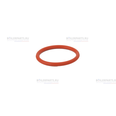 Кольцо уплотнительное RINNAI 490002901