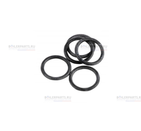 Кольцевое уплотнение d17-4 для котлов Ariston 60024164-51 [201]