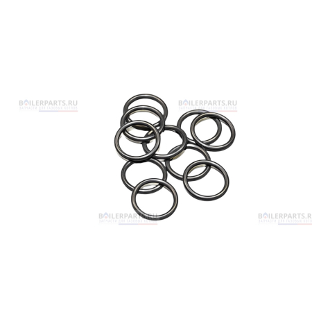 Резиновая прокладка BOSCH/BUDERUS    87387019710