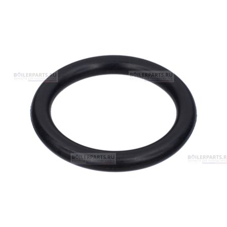 Кольцо уплотнительное PROTHERM 0020020741