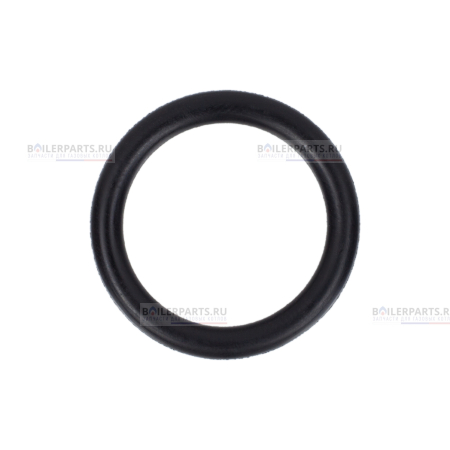 Кольцо уплотнительное PROTHERM 0020020741
