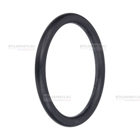 Кольцо уплотнительное PROTHERM 0020034829