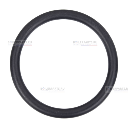 Кольцо уплотнительное PROTHERM 0020034829