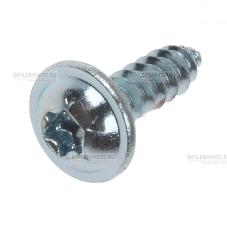 Винт 4,2x13,5mm  для котлов Protherm 2000801946