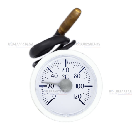 Термометр FERROLI 36400250