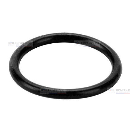 Кольцо уплотнительное PROTHERM 0020118661