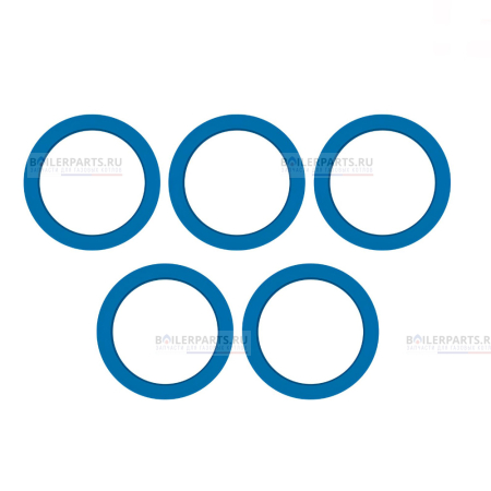 Прокладка 62x48x2 PowerGask.20 5шт Protherm 0020035069