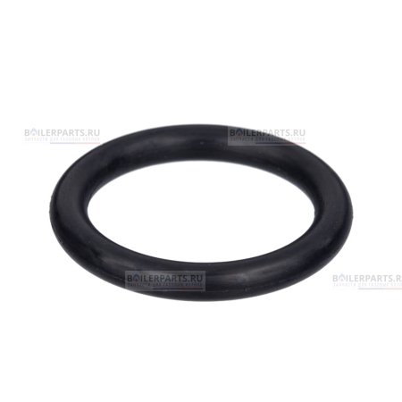 Кольцо уплотнительное PROTHERM 0020097234