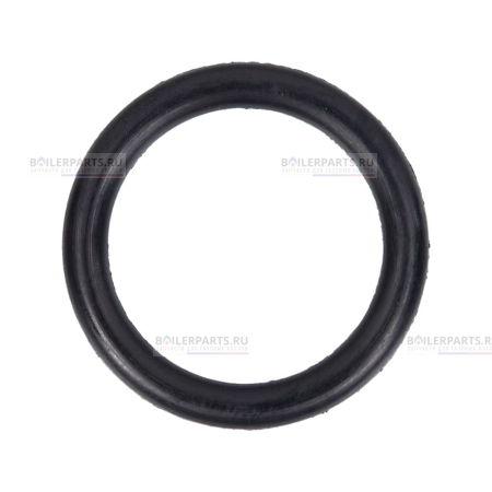 Кольцо уплотнительное PROTHERM 0020097234