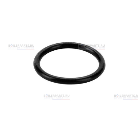 Кольцо уплотнительное PROTHERM 0020118667
