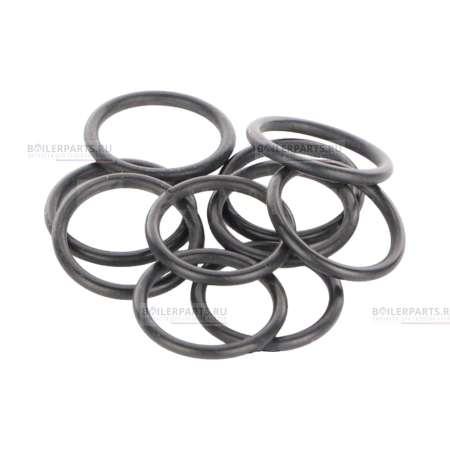 Кольцо уплотнительное PROTHERM 0020118737