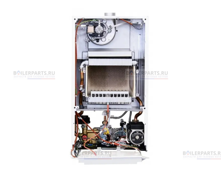 Газовый котел ECO Nova 31 F BAXI  100022347