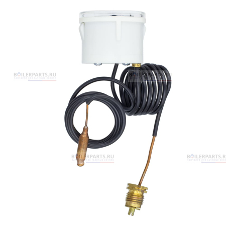 Термоманометр IMMERGAS  10793 CEWAL