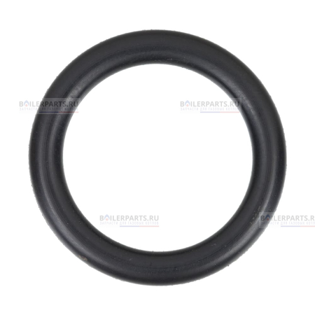Кольцо уплотнительное PROTHERM 0020195272