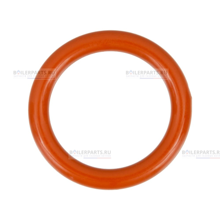 Кольцо уплотнительное RINNAI 440000893