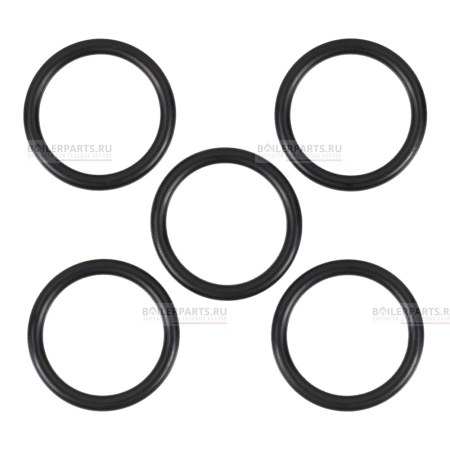 Уплотнительное кольцо 26,57x3,53(5 шт)  BOSCH BUDERUS JUNKERS 8718589159