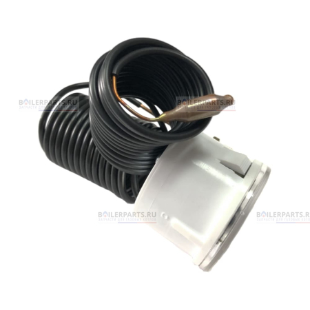 Термоманометр FERROLI 39814770