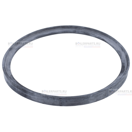 Уплотнение D=100 BAXI 5407550