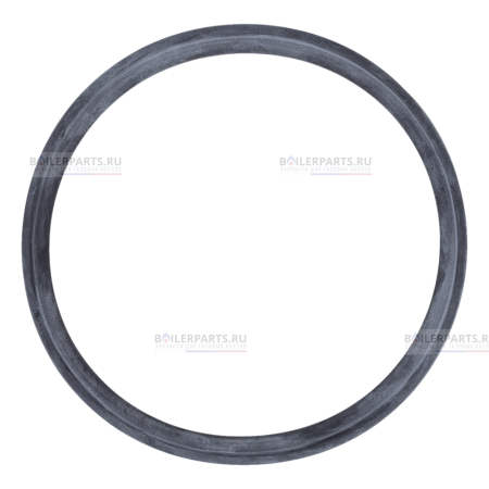 Уплотнение D=100 BAXI 5407550