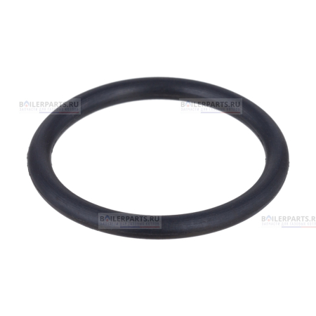 Кольцо уплотнительное PROTHERM 0020097224