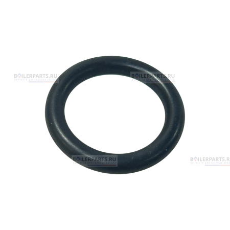 Кольцо уплотнительное PROTHERM 0020118658