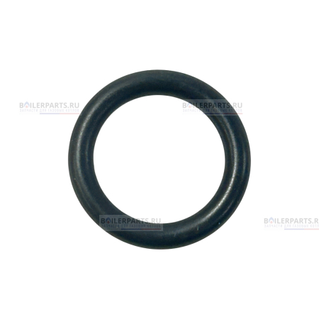 Кольцо уплотнительное PROTHERM 0020118658