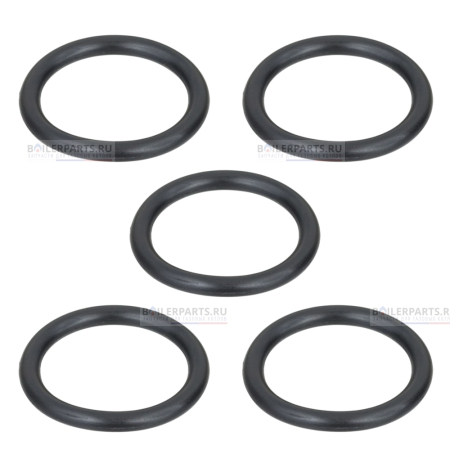 Кольцо уплотнительное PROTHERM (5шт) 0020118718_5